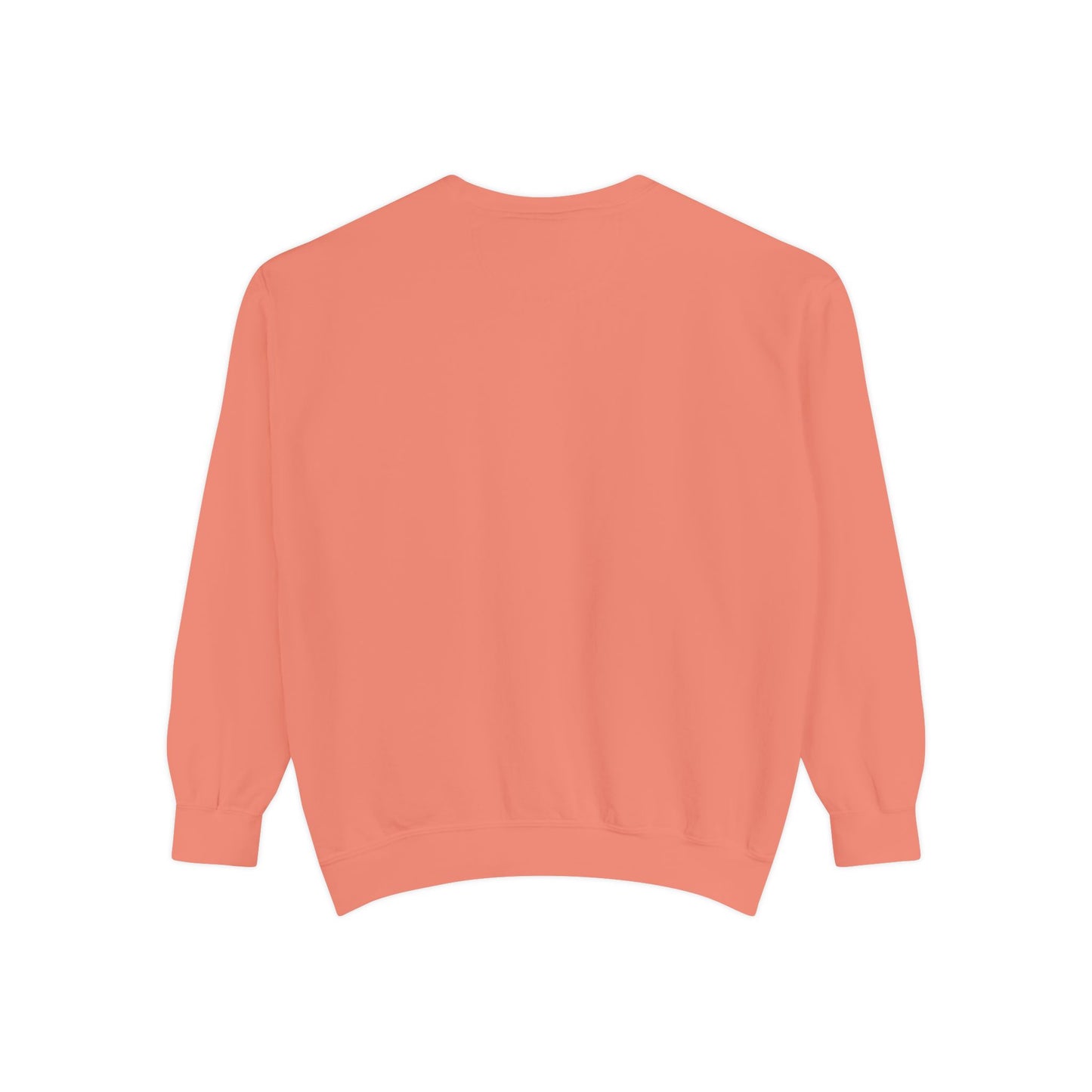 Embroidered Lanier Longhorn Sweatshirt - White